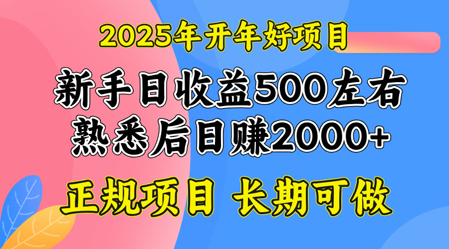 2025开年好项目，单号日收益2000左右-中创项目网