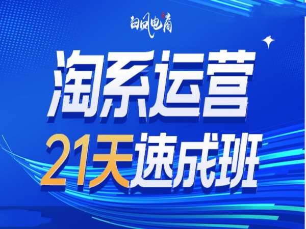 淘系运营21天速成班35期，年前最后一波和2025方向-中创项目网