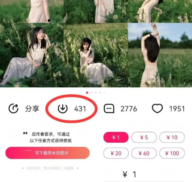 最新图虫搬运项目，收益无上限，利用AI小白也可日赚500+-中创项目网
