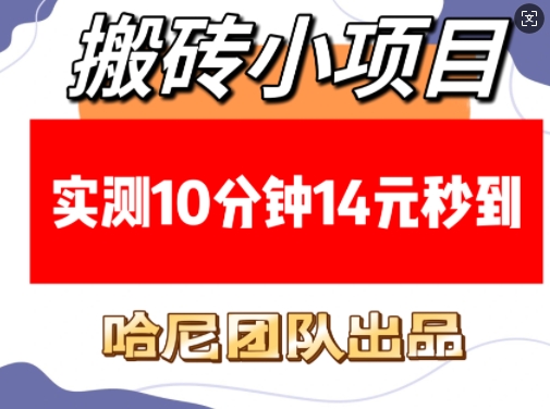搬砖小项目，实测10分钟14元秒到，每天稳定几张(赠送必看稳定)-中创项目网