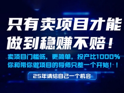 只有卖项目才能做到稳挣不赔，门槛低，更简单，你也可以年入百个W【揭秘】-中创项目网