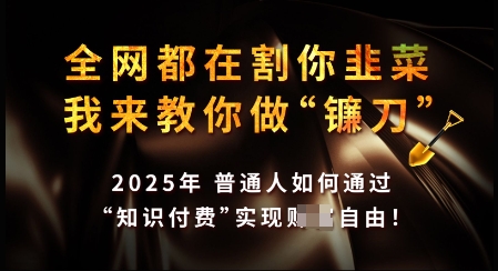 知识付费如何做到月入过W+，2025我来教你做“镰刀”【揭秘】-中创项目网