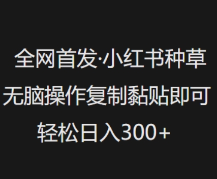 全网首发，小红书种草无脑操作，复制黏贴即可，轻松日入3张-中创项目网