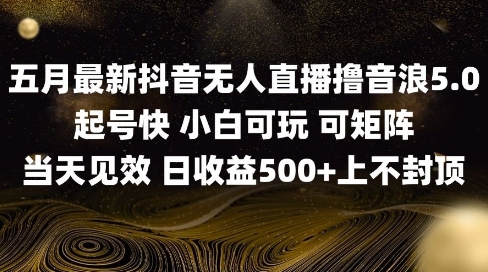 2025五月最新无人直播撸音浪单日产出5张+实操教程【揭秘】-中创项目网