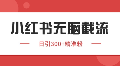 小红书截流同行客源，独家野路子获客玩法 日引200+暴力获客【揭秘】-中创项目网