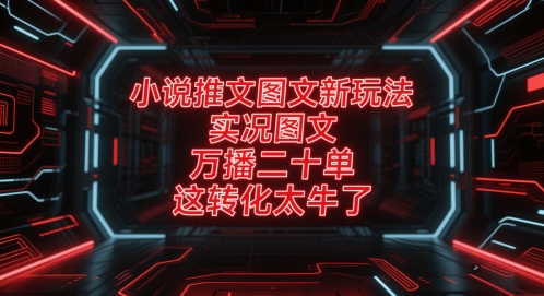 小说推文图文新玩法，实况图文，万播二十单，这转化太牛了！-中创项目网