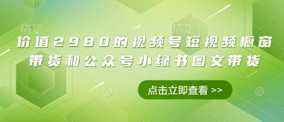 价值2980的视频号短视频橱窗带货和公众号小绿书图文带货-中创项目网