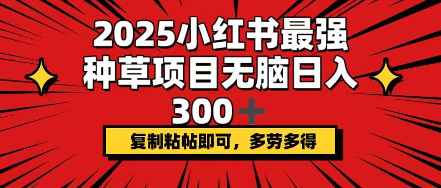 2025小红书最强种草项目，无脑日入300+，复制粘帖即可，多劳多得-中创项目网