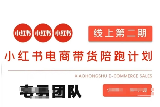小红书电商带货课2期，月利润20个的小红书电商的有货源，无货源，虚拟产品，付费投流等整套玩法-中创项目网