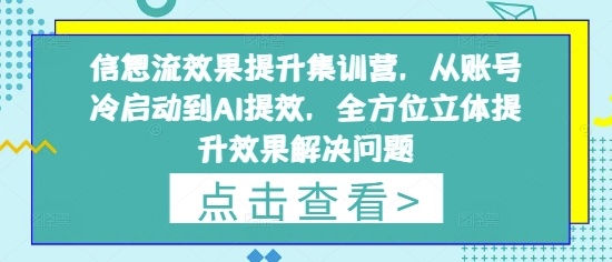 信息流效果提升集训营，从账号冷启动到AI提效，全方位立体提升效果解决问题-中创项目网