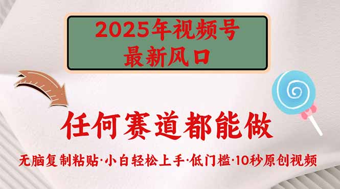 2025年视频号新风口，低门槛只需要无脑执行-中创项目网