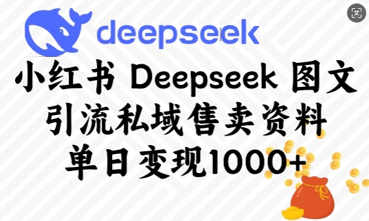 小红书Deepseek图文引流私域售卖资料，单日变现多张-中创项目网