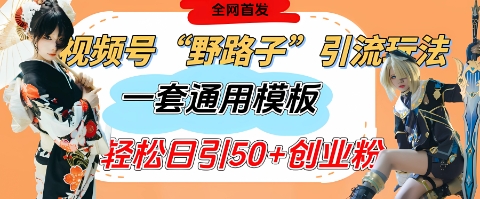 视频号“野路子”玩法，评论区疯狂截流，一套模板单日单号引流50+创业粉-中创项目网
