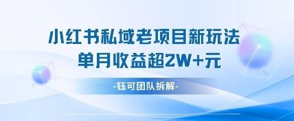 小红书私域项目新玩法，单月变现过W+-中创项目网