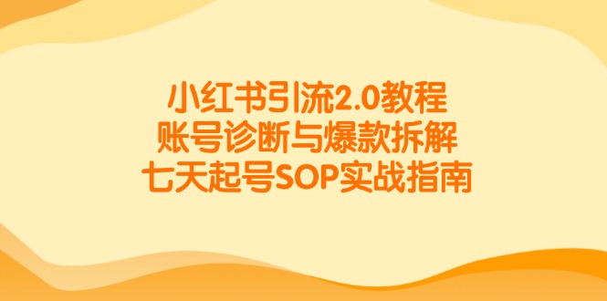 小红书引流2.0教程，账号诊断与爆款拆解，七天起号SOP实战指南-中创项目网