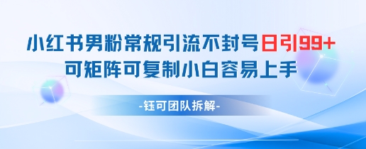 小红书男粉常规引流不封号日引99+变现简单 可矩阵可复制小白容易上手-中创项目网