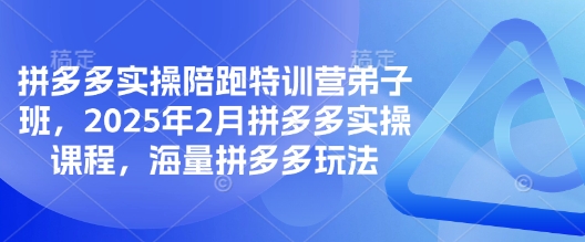 拼多多实操陪跑特训营弟子班，2025年2月拼多多实操课程，海量拼多多玩法-中创项目网
