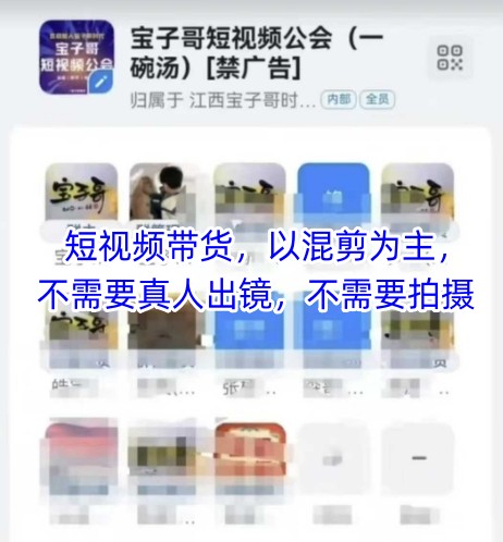 宝子哥头部团队短视频带货，以混剪为主，不需要真人出镜，不需要拍摄【更新】-中创项目网