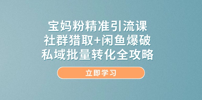 宝妈粉精准引流课，社群猎取+闲鱼爆破，私域批量转化全攻略-中创项目网