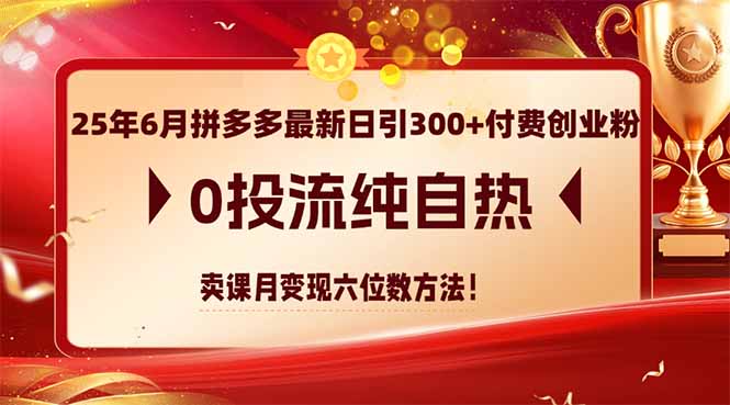 25年6月拼多多最新日引300+付费创业粉，0投流纯自热 卖课月变现六位数方法-中创项目网