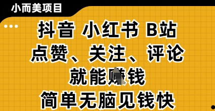 小而美的项目，抖音小红书B站视频点赞、关注、评论就能挣钱，简单无脑立见收益，妥妥的零撸项目【揭秘】-中创项目网
