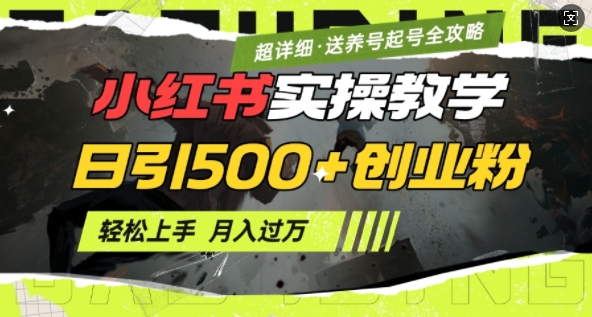 2月小红书最新日引500+创业粉实操教学【超详细】小白轻松上手，月入1W+，附小红书养号起号SOP2-中创项目网