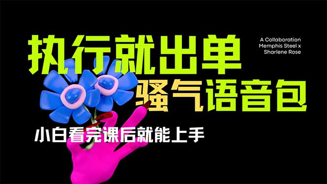 爆火全网的开车导航骚气语音包,只要执行就出单，小白看完课程就能实操…-中创项目网