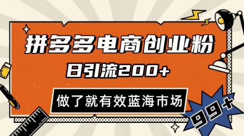 拼多多引流电商创业粉，日引200+，可矩阵放大，做了就有效【揭秘】-中创项目网