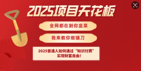 2025项目天花板普通人如何通过知识付费，实现财F自由【揭秘】-中创项目网
