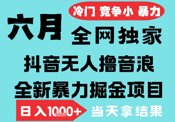 2025年6月高爆抖音无人直播最新撸音浪掘金项目，无脑日入1k+，低门槛小白可做，可矩阵放大【揭秘】-中创项目网
