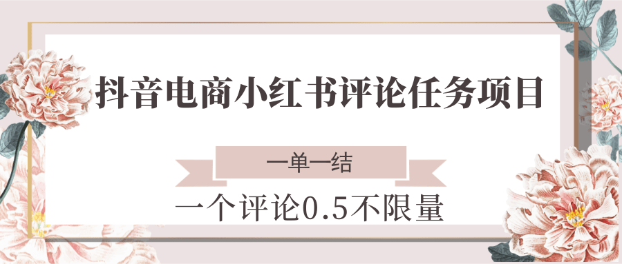 抖音电商小红书评论任务项目，一个评论0.5，一单一结 不限量-中创项目网