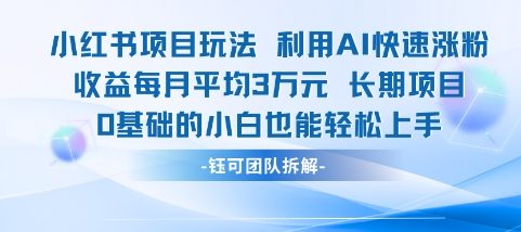 适合小白操作的小红书新项目，利用AI快速涨粉，收益每月平均1W+-中创项目网