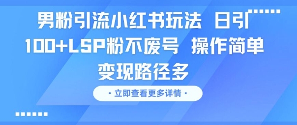 男粉引流小红书玩法，日引100+LSP粉不废号，操作简单，变现路径多-中创项目网