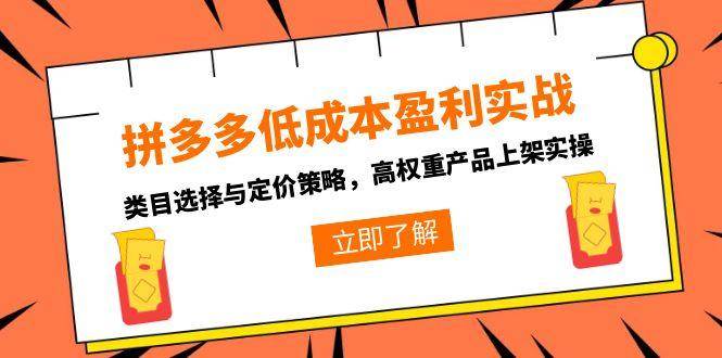 （15143期）拼多多低成本盈利实战，类目选择与定价策略，高权重产品上架实操-中创项目网